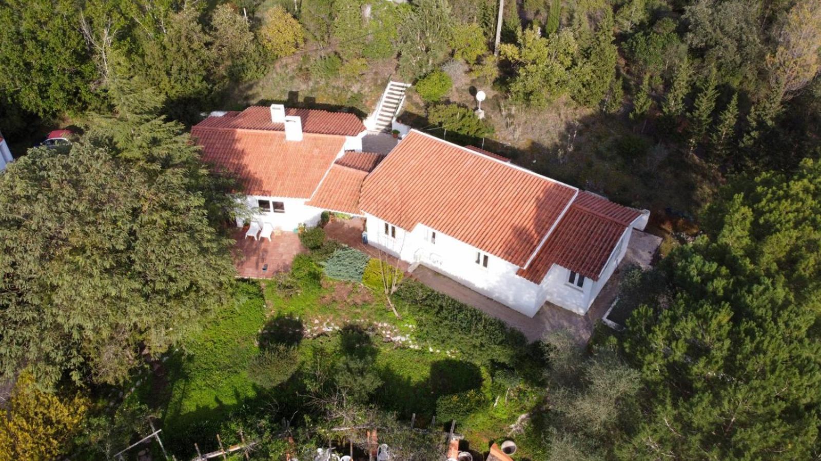 Perfect For Quiet Vacation With Family And Friends Villa Setubal Exterior photo